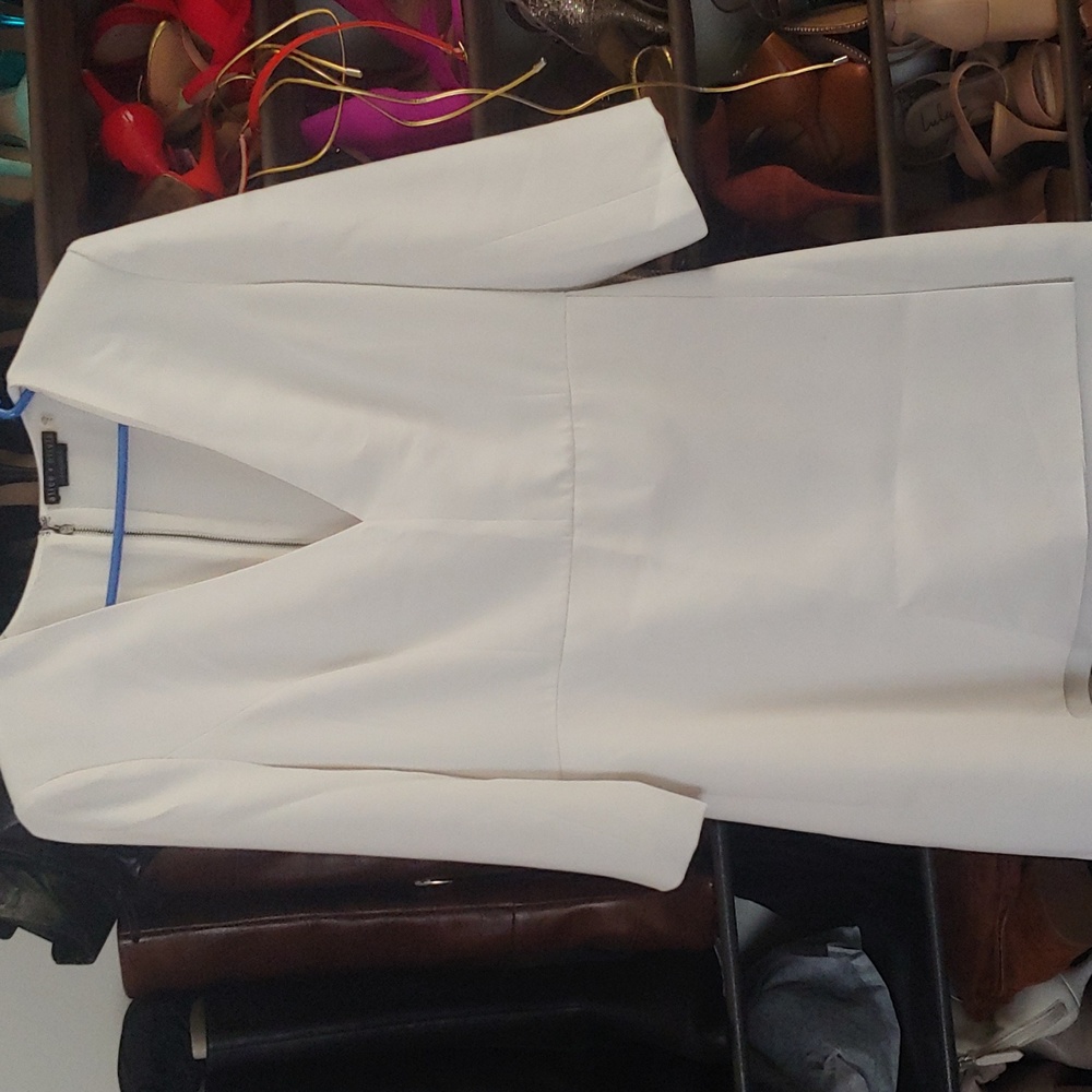 Alice and olivia dress